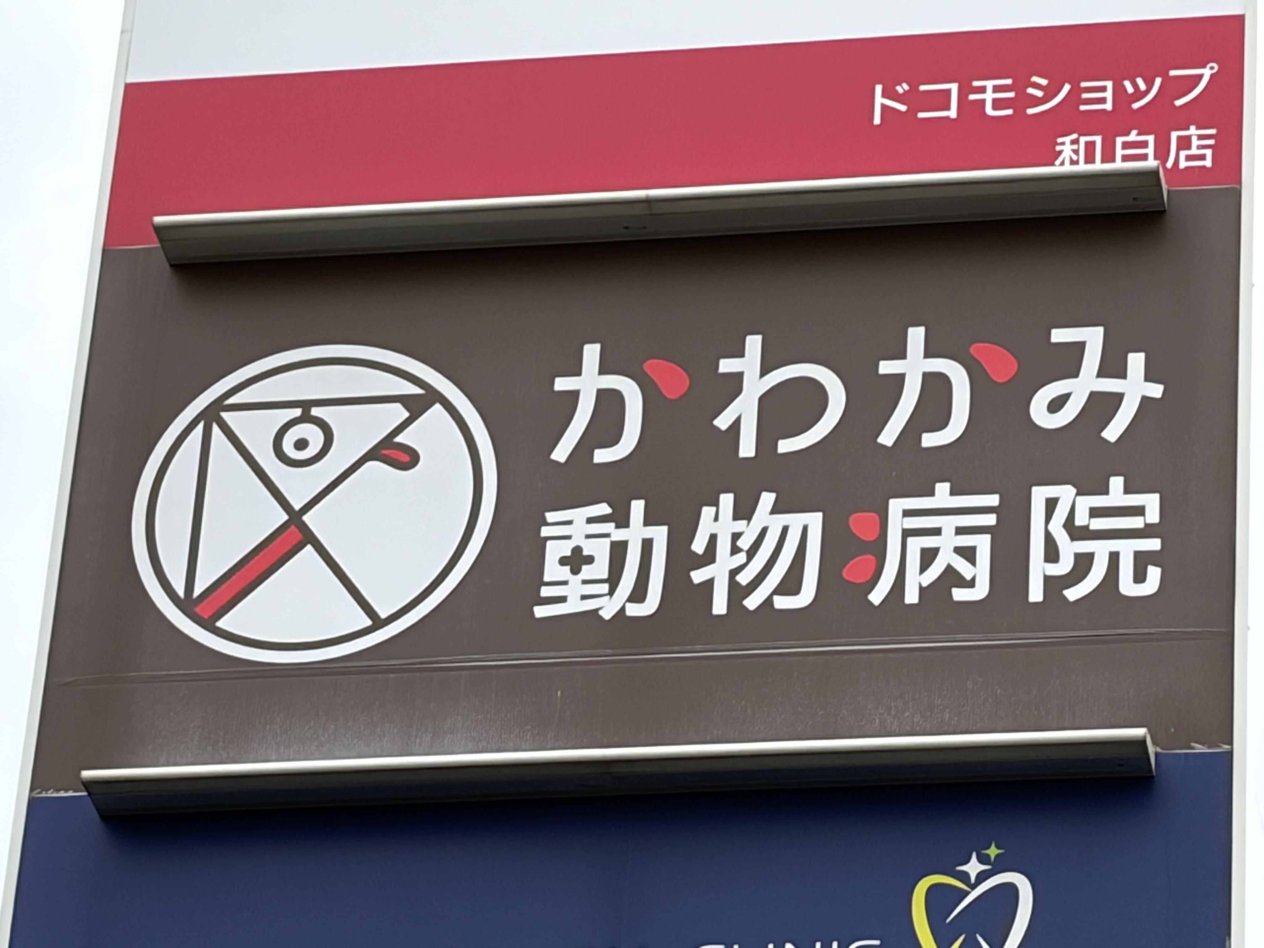 かわかみ動物病院